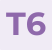 T6