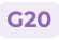 G20