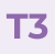 T3