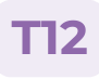 T12