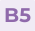 B5