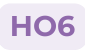 HO6